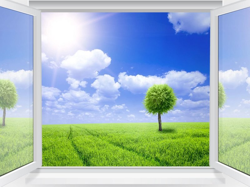 beautiful view from window on a green tree and grass with a blue sky - Carpet On Wheels in the Jamesburg, NJ area